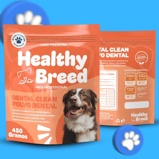 DENTAL CLEAN | HEALTHYBREAD